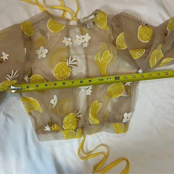 Topshop Sheer 3/4 Sleeve Embroidered Crop Top with Yellow Appliqué Size 2 - Picture 9 of 13